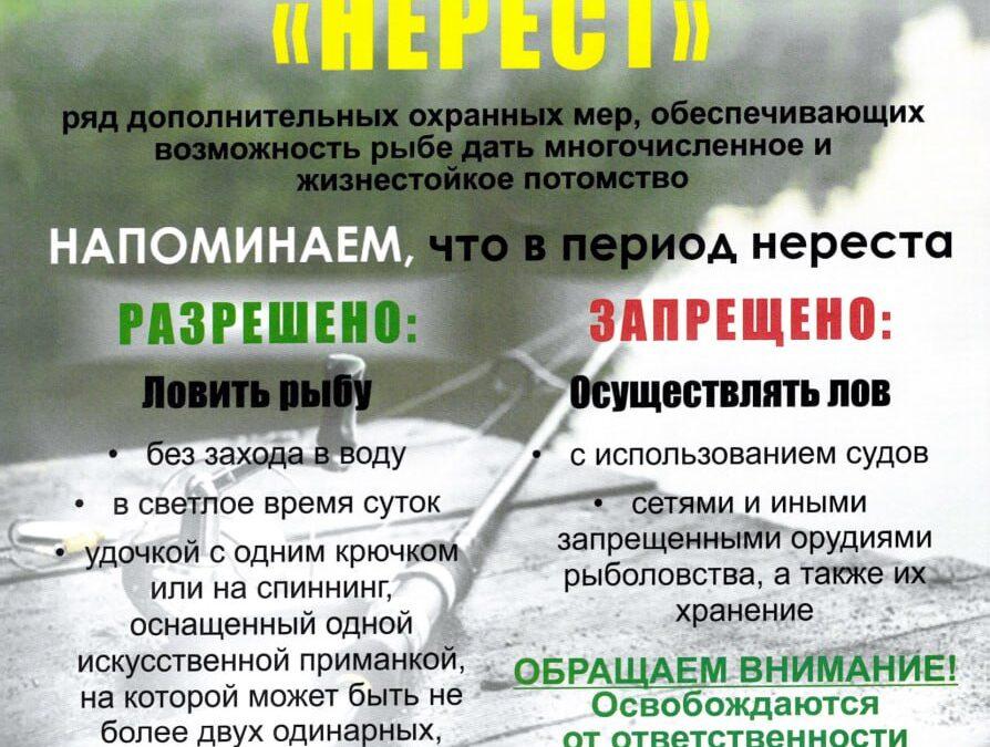 С 15 марта по 8 июня 2025 года проводится специальное комплексное мероприятие «Нерест»