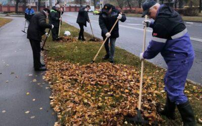 Работники РУП «БЕЛТЭИ» приняли участие в республиканском субботнике